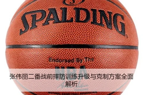 张伟丽二番战前摔防训练升级与克制方案全面解析